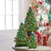 Raz 8", 13", Or 17" Battery Operated Lighted Green Ceramic Christmas Tree