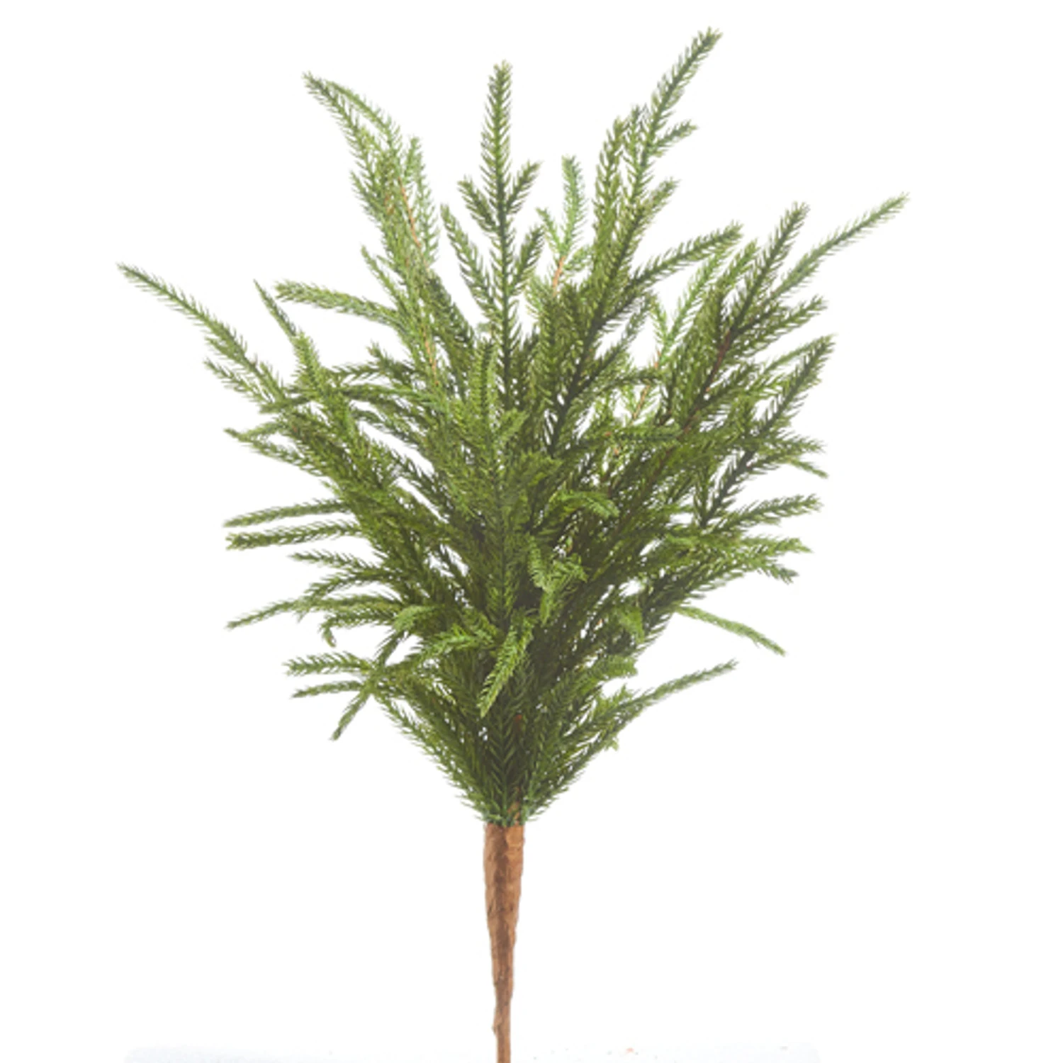Raz 18" Soft Touch Norfolk Pine Christmas Tree Pick F4302383 1 Raz 18" Soft Touch Norfolk Pine Christmas Tree Pick F4302383