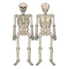 Beistle Vintage 4' 3" Halloween Jointed Skeleton Decoration 01178