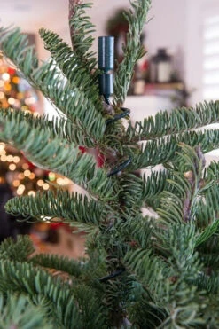 Village Lighting Universal Christmas Tree Topper Holder V-11103 9 Village Lighting Universal Christmas Tree Topper Holder V-11103 -Christmas Decorations Shop apiylnmow 47410.1646091960